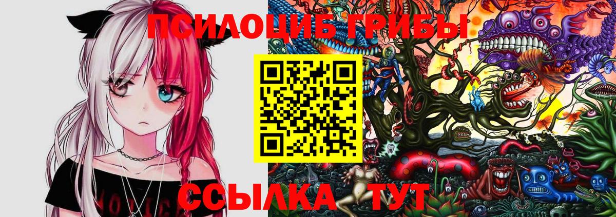 Псилоцибиновые грибы Magic Shrooms Гагарин
