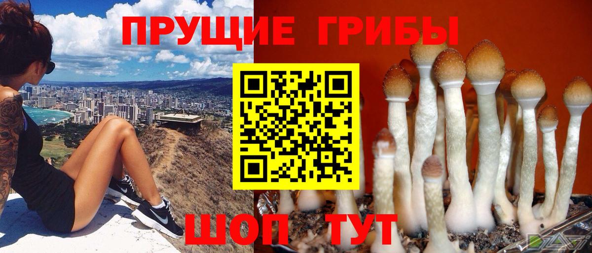 Гагарин  Псилоцибиновые грибы ЛСД  Вход с VPN 